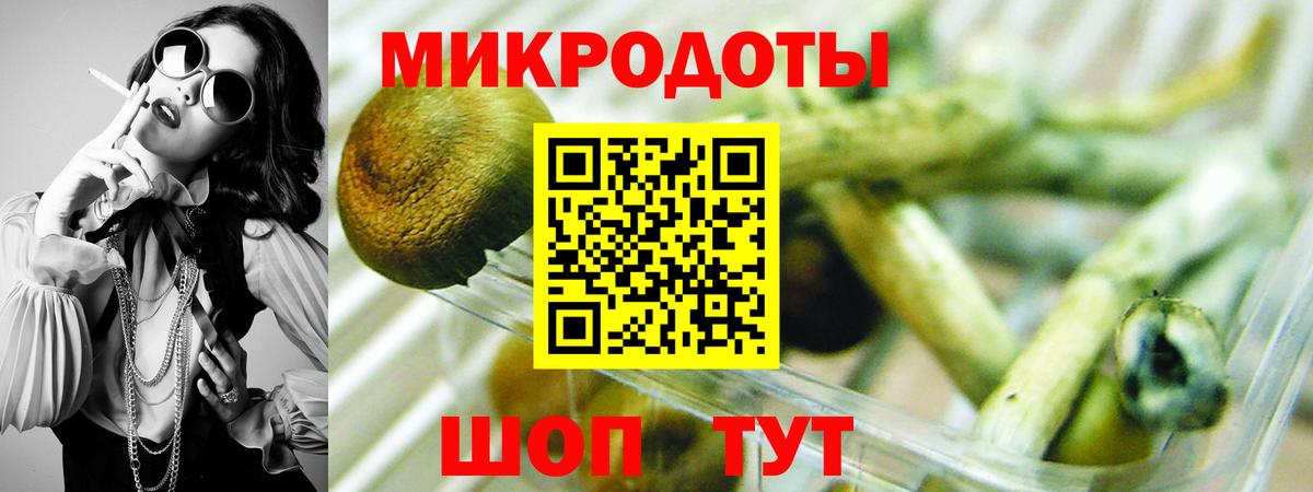 Галлюциногенные грибы GOLDEN TEACHER Губкинский