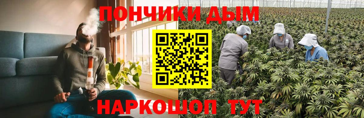 Каннабис ГИДРОПОН  Бошки Шишки Amnesia  Вход с VPN  Бошки марихуана THC 21%  Губкинский 